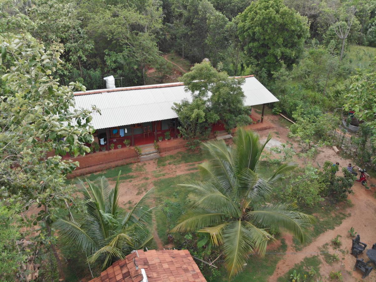 Araliya Self Cooking Resort דמבולה מראה חיצוני תמונה